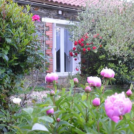L'Arbre D'Alais Bed and Breakfast Saint-Fulgent Buitenkant foto