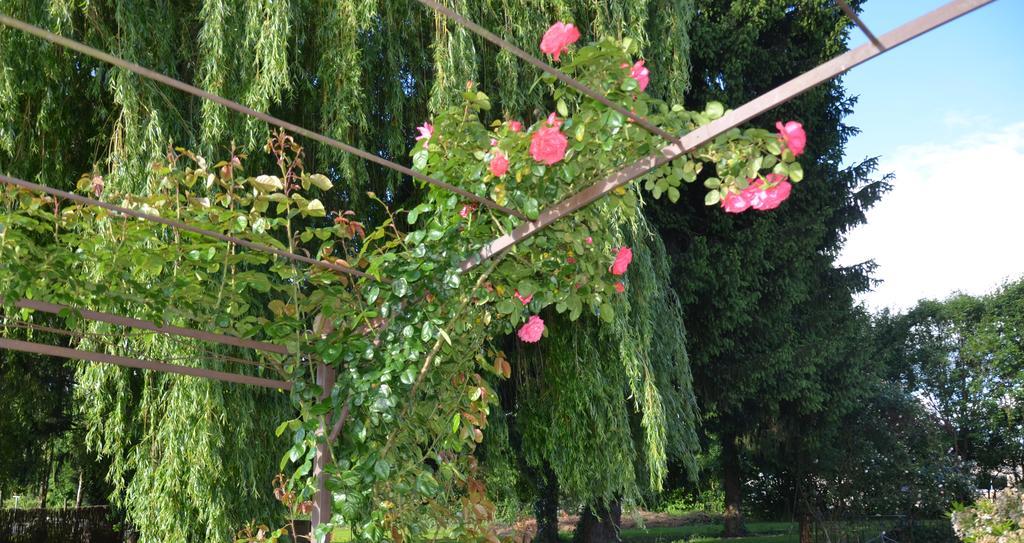 L'Arbre D'Alais Bed and Breakfast Saint-Fulgent Buitenkant foto