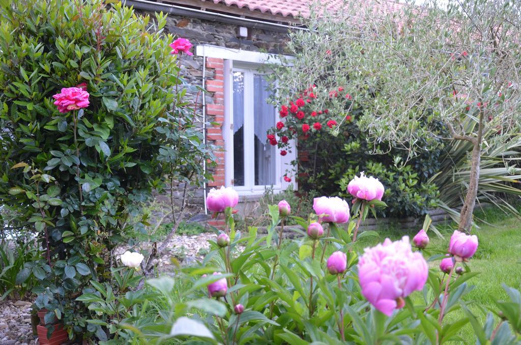 L'Arbre D'Alais Bed and Breakfast Saint-Fulgent Buitenkant foto