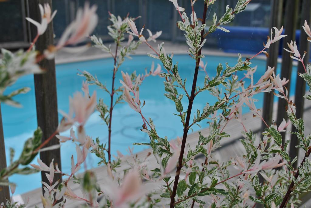 L'Arbre D'Alais Bed and Breakfast Saint-Fulgent Buitenkant foto